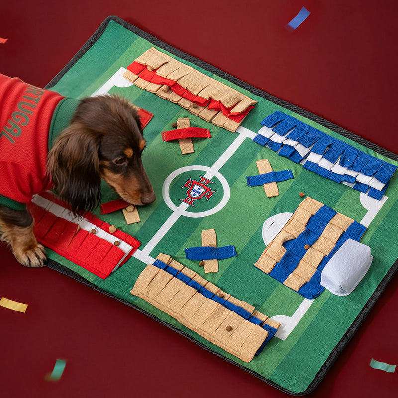 Portugal FPF Pet Snuffle Mat